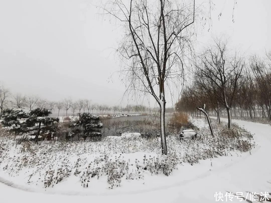 心动的感jio !！临沭绝美雪景大片，如诗如画