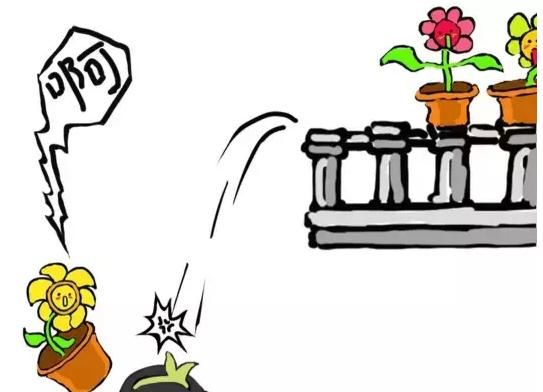 误区|养花这些误区,事关生死,不能犯错!