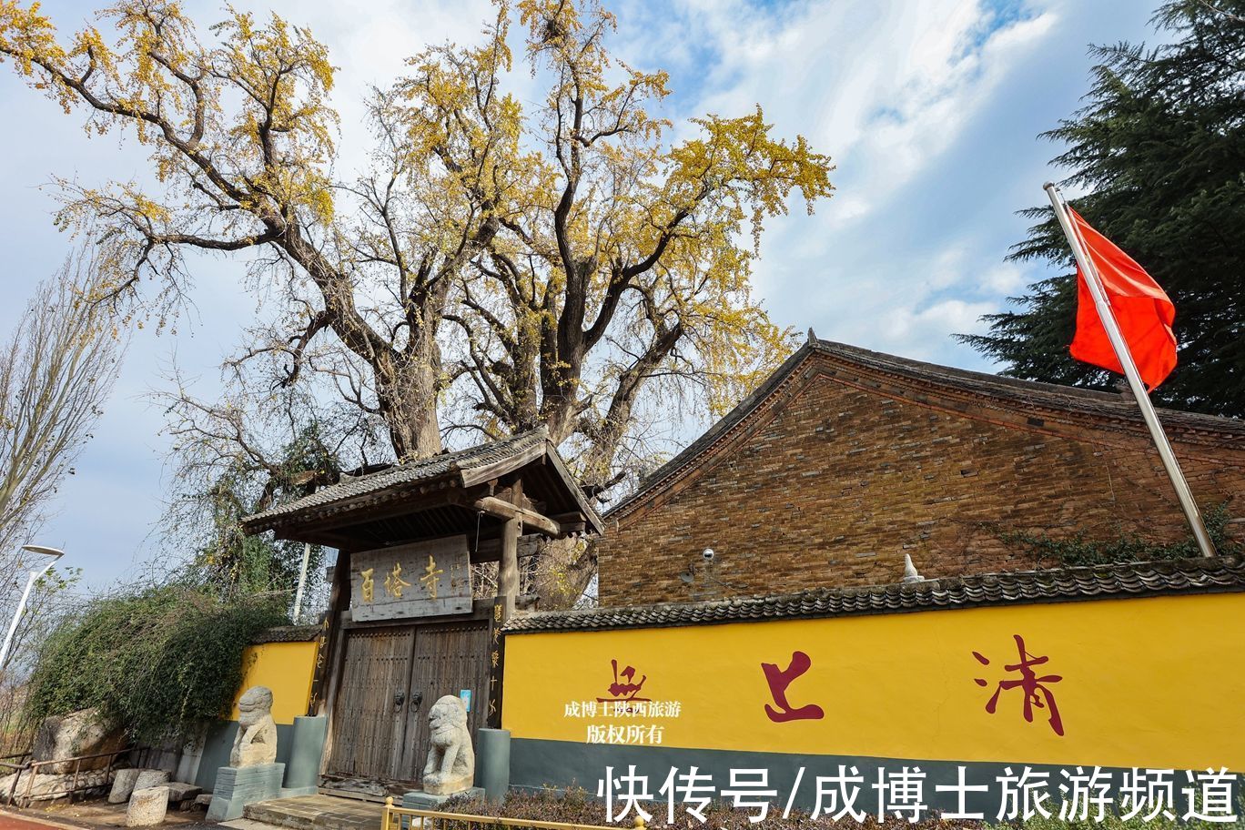 寺院|西安百塔寺为佛教三阶教祖庭，然而并没有塔，只有一棵千年银杏