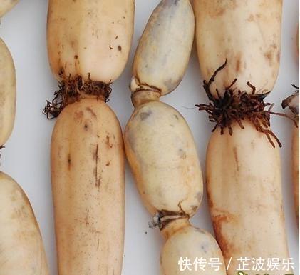 铁元素|对身体最好的食物,要坚持吃一些,美容养颜、改善体质!