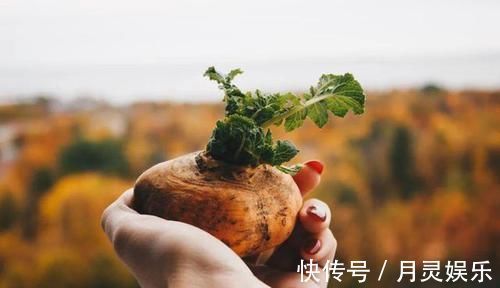 糙米|它发芽了千万别扔，吃对了营养加倍，抗老防衰效果更好！