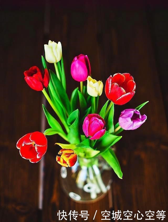 人生|一个大气的人,都有这五个大的人生格局