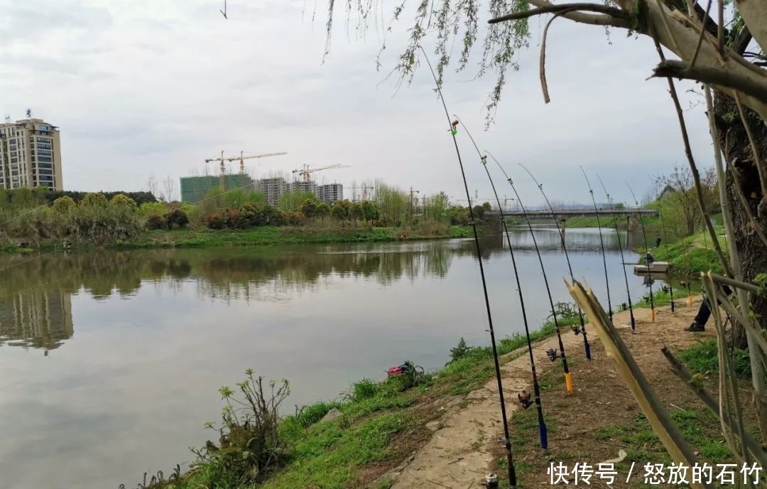 鲤鱼|夏季野钓别老盯着深水!这几个地方也藏大鱼,我替你们试过了