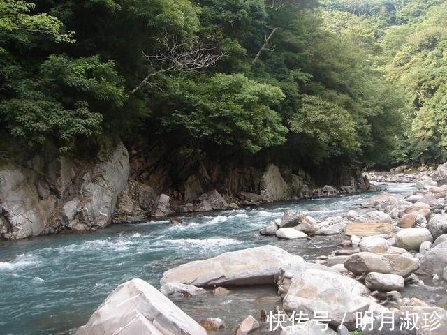 香鱼|很多钓友不认识此鱼,能散发特殊香味,被市场誉为“淡水鱼之王”