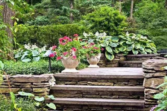 一些山石,美了整个院子