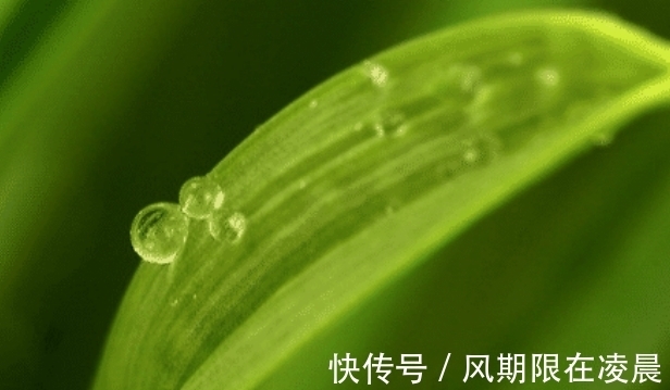 财气|四大生肖步入11月开始，春风得意财气亨通，福星高照财运滚滚来