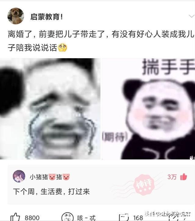 差评|当湾湾人故意给某宝差评后，哈哈等我从福建坐船去K你