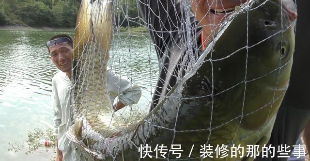 蓑笠哥|浅谈野钓大物竿,装备选购及使用技巧,轻松玩转