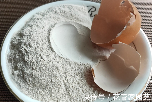 腐叶土|这几种路边别人不要的垃圾捡回家种花,比花钱买的营养土还好