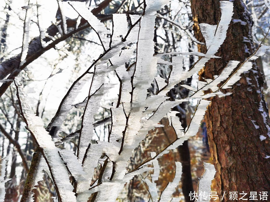 黄泥浆岗|宁波第二高峰，雪国风光，雾凇奇观