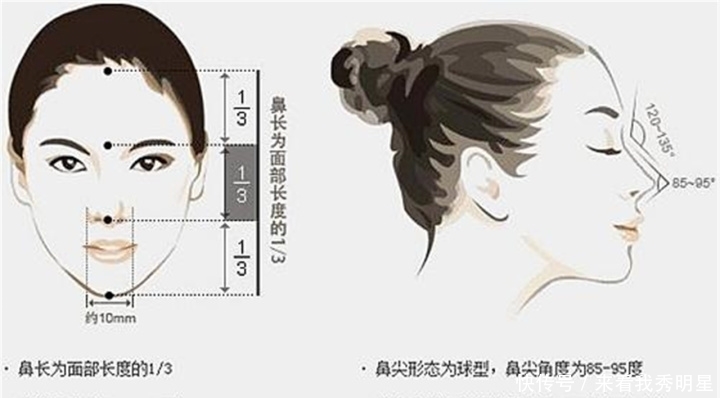 眼是美之窗，鼻是颜之魂；范芳医生谈国人常见鼻型及美学特点一