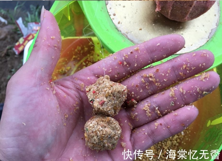 玉米粒|为什么玉米粉比玉米粒更适合钓鱼,看玉米粉饵的制作方法就明白了