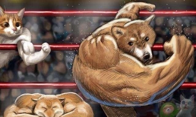 柴犬|大家还记得那只在二次元爆火的肌肉柴犬吗?现如今终于有实体版了