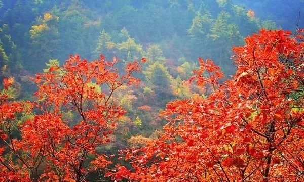 秋天|河北｜这个省，承包了大半个中国的美景！