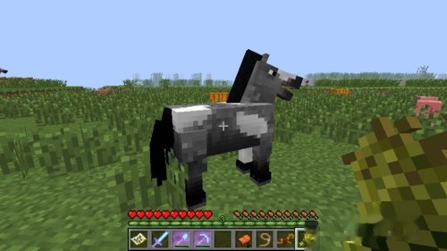 Minecraft 我的世界 如何骑马 驯马 快资讯