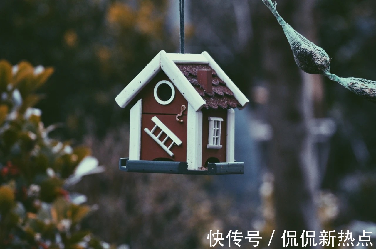亚里士多德|不断注入新鲜血液，激励恒信未来