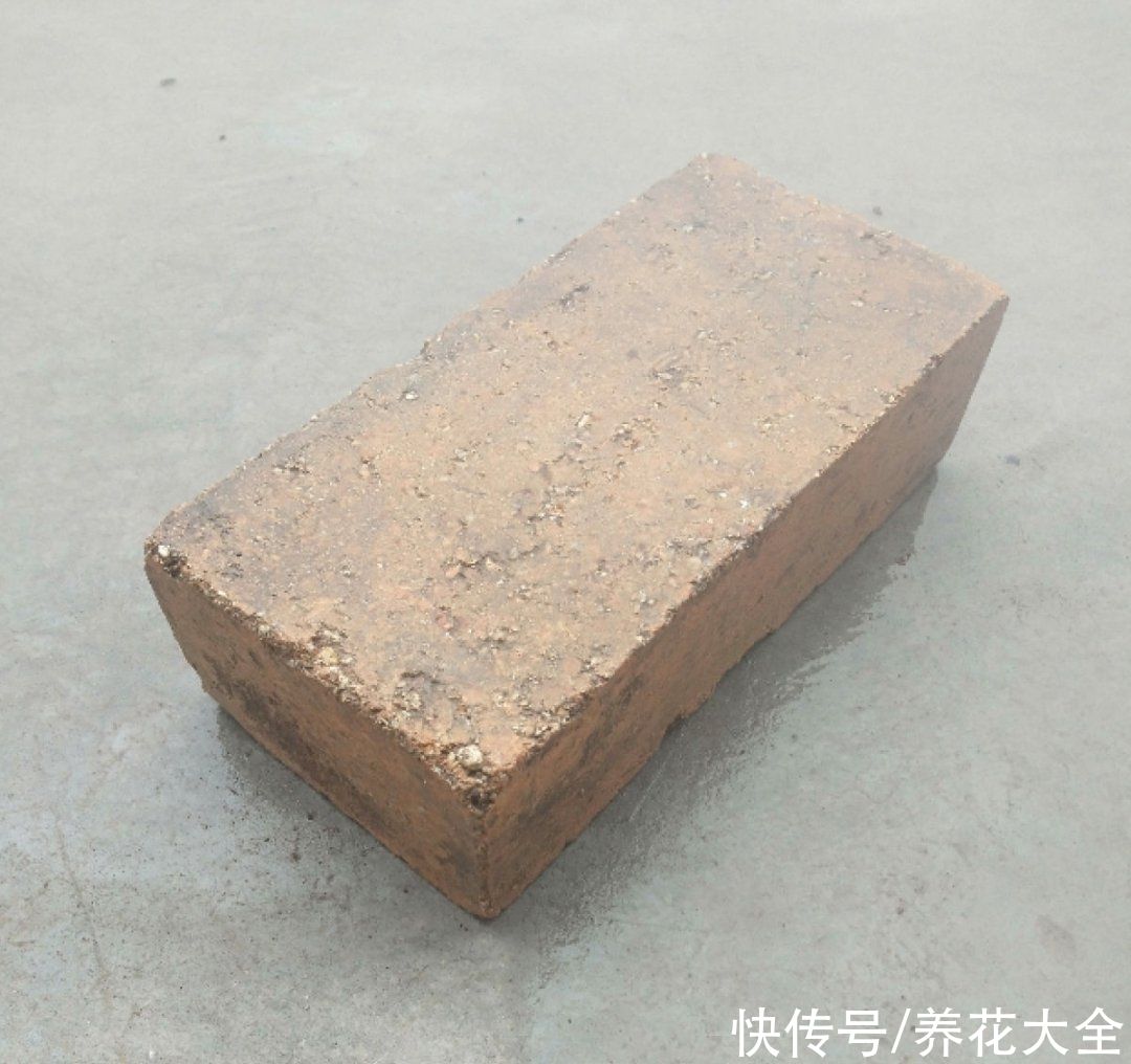 天热|养花换个方法,长得更旺,养花杀手必看