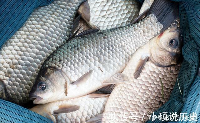 深秋想要鲫鱼爆连，味型和钓法都是次要的，选对水深才是关键因素