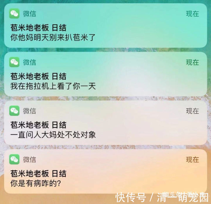 |你有哪些让人笑到肚子疼的搞笑图片