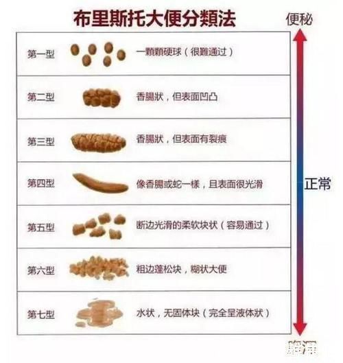 肠胃功能紊乱|排便总是前硬后软,别当成便秘对待,问题可能还不小,别忽视!