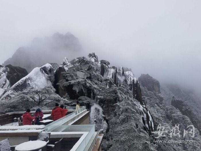 黄山风景区|黄山风景区雪景初现！降雪仍在持续