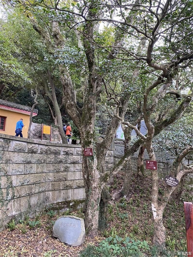 前往佛教圣地普陀山进香祈福