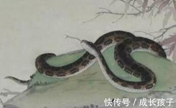 蛇人|十蛇九不全：揭秘65年生肖蛇的毕生寿命，过了55岁后什么命？