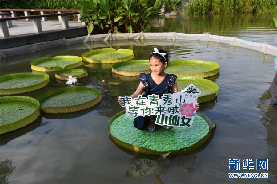 萌娃|神奇！“水中大力士”可以坐萌娃