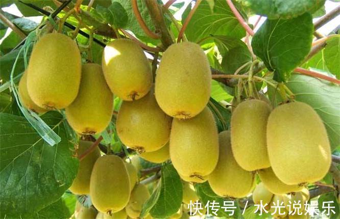 美白淡斑|女性想要皮肤好,不妨多吃几种食物,美白淡斑,排毒抗衰,显年轻