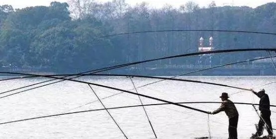 被很多人忽视的钓法,秋冬季节专钓大鲫鱼,比台钓强好几倍!