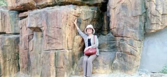 冯联李|王凌琴:杨虎城私放刘省长 冯联李共劫军火船