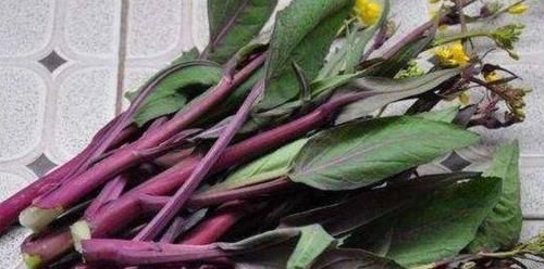 康普|想年轻一点，秋天不妨吃的食物，改善肠胃，排毒养颜，越吃越年轻