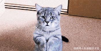 慈禧|慈禧明明有个亲弟弟，为何却不重用他原因太窝囊！