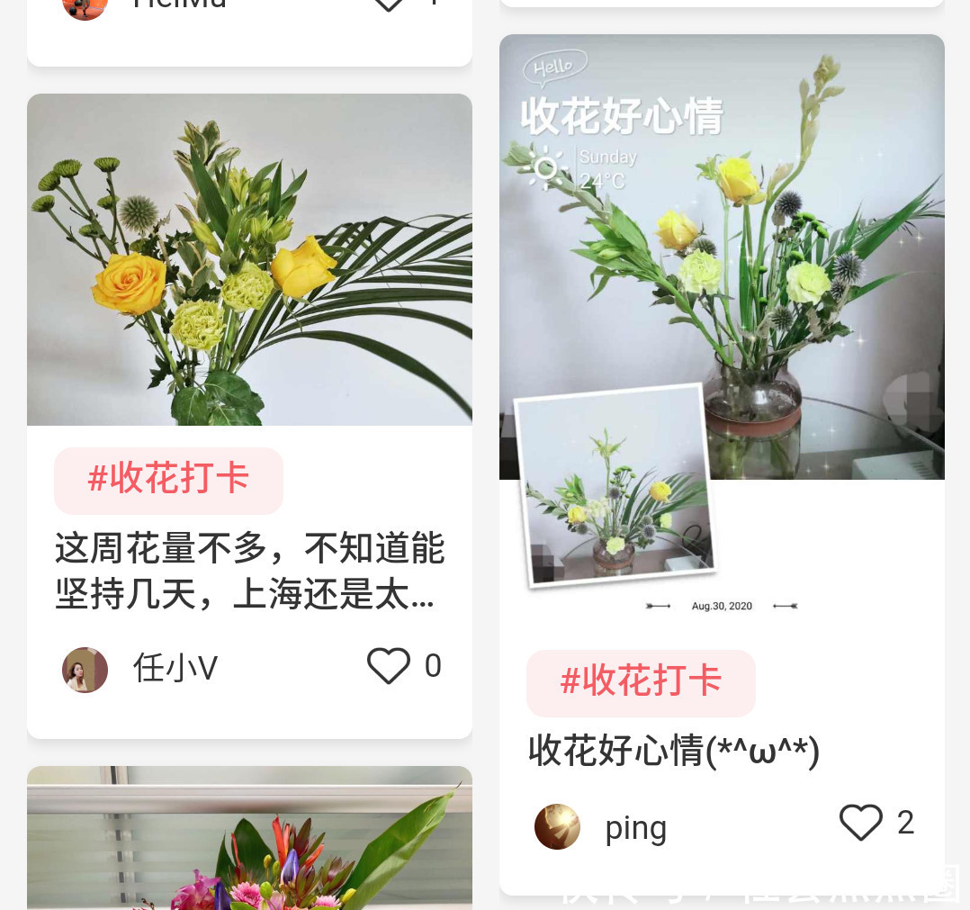 Flower歌词翻译