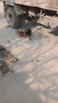 |搞笑GIF图:当你想吸氧气的时候,希望你记得这一刻