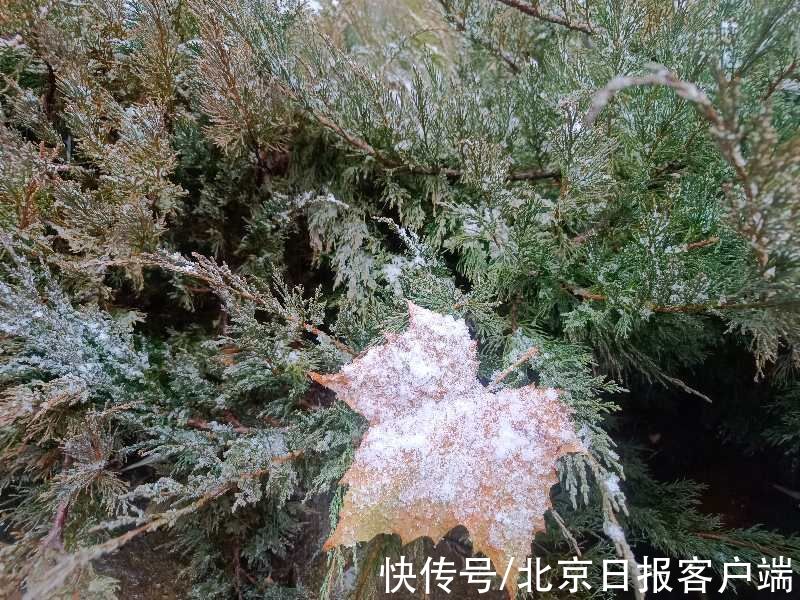 琉璃庙|今冬第一场雪进山了！怀柔琉璃庙雪花飘洒而下