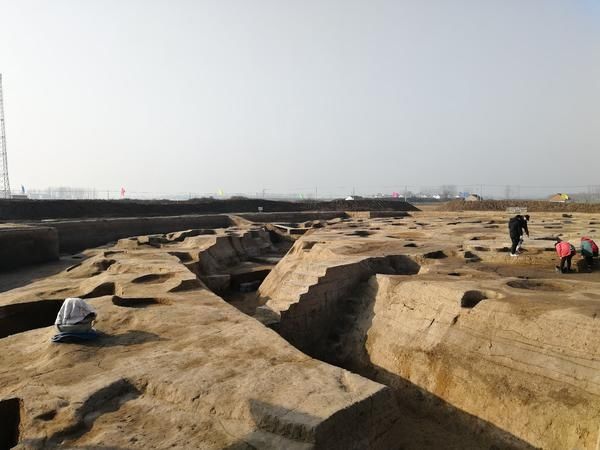  中国|考古专家齐聚淮阳时庄，揭秘距今4000年中国最早粮仓