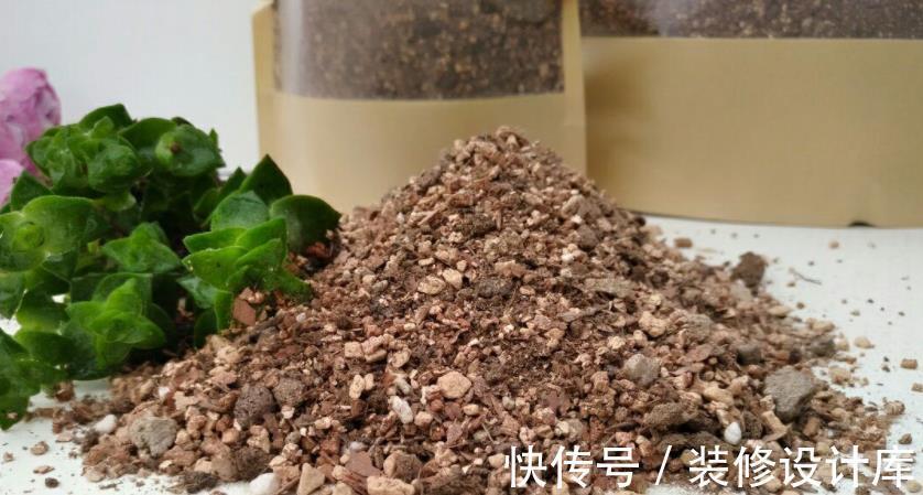 谨记|立秋前后，给多肉换盆，请谨记正确操作！