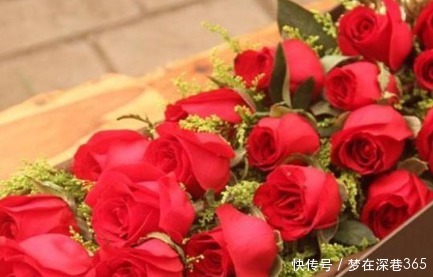 盆花|新手养花，不如养盆花中精品“卡罗拉”，红艳似火，太惊艳了