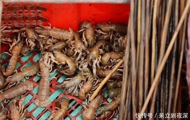 女子用“毛笔”钓出这东西,市场卖30一斤,一天能钓三十多斤