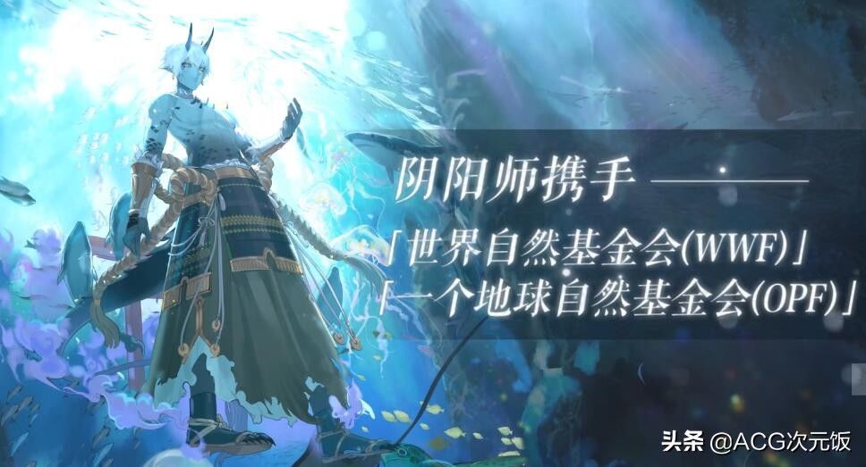 ssr|阴阳师五周年玩家褒贬不一，回顾过往五年，路途一直磕磕绊绊