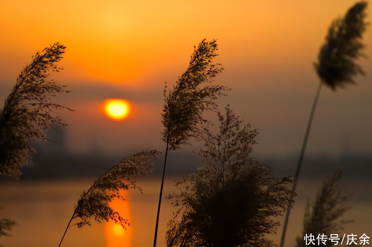 游遍|欧阳修的这首词，写透了人生的聚散无常，值得一读再读