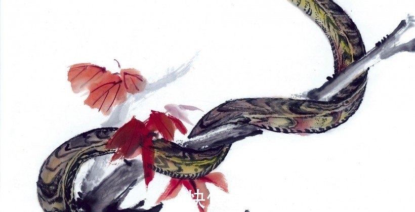 生肖|第六感很准,每次都能做出正确选择的生肖,轻轻松松把钱赚!