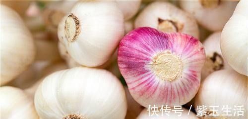 蒜泥|大蒜就是“长生药”，冷门知识告诉你原因，看完就得剥蒜去