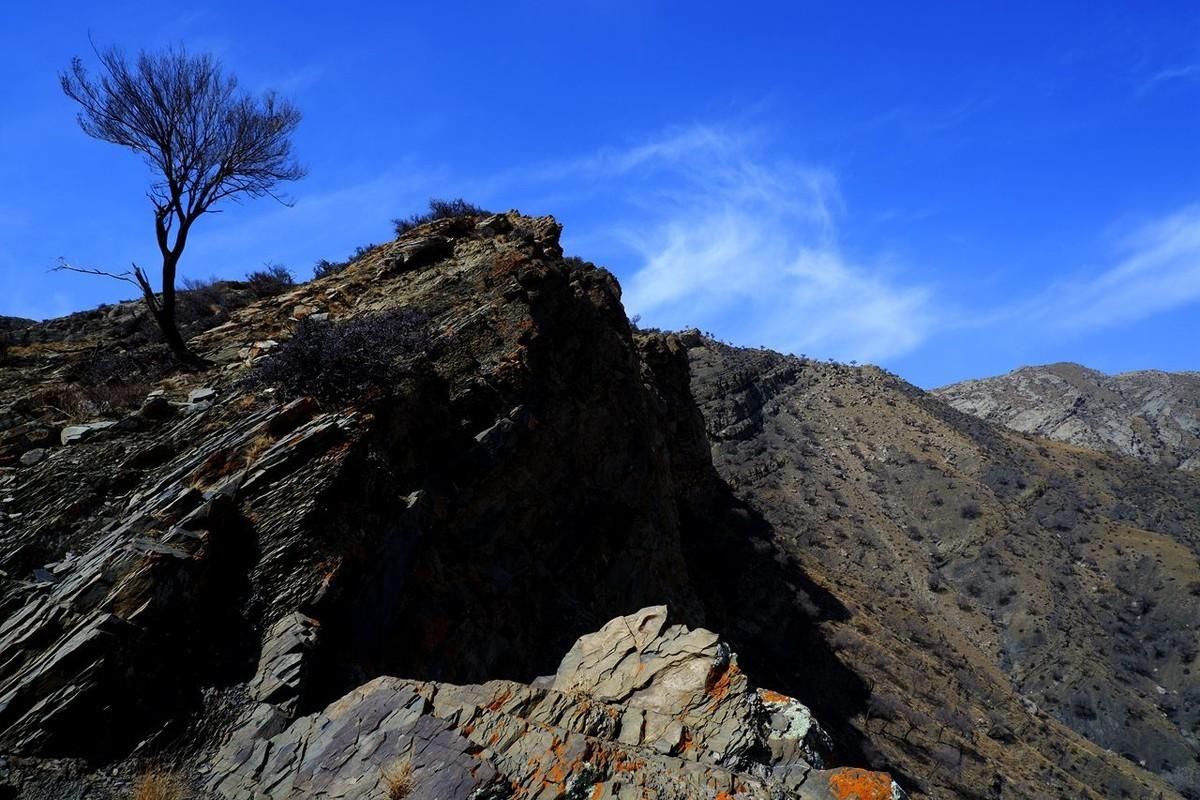 贺兰山煤层自燃300年，每年烧掉10亿元，为什么不用水扑灭？