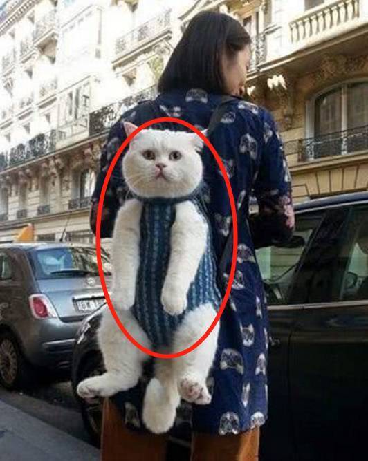 |搞笑图片幽默段子笑话哈哈,又一个把车开到河里的妹子,可以的