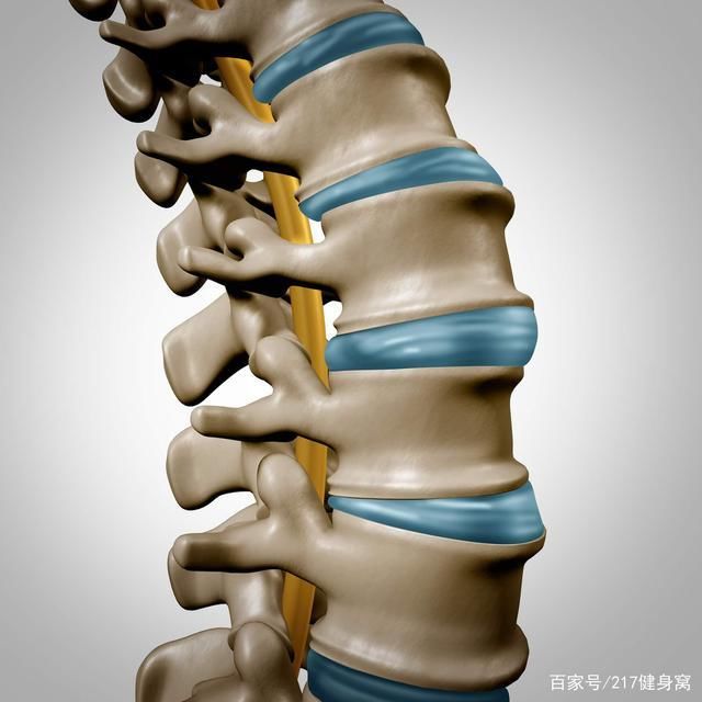 杨幂因“漫画腰”道歉！医生：会增加腰椎退变的风险，不建议尝试