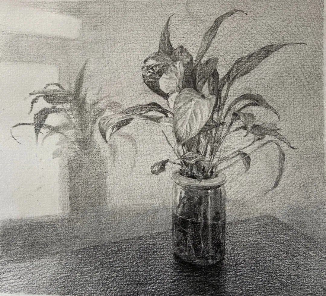 纸本炭|央美2021年造型基础部最新素描作品,不瞒你说,真心不错