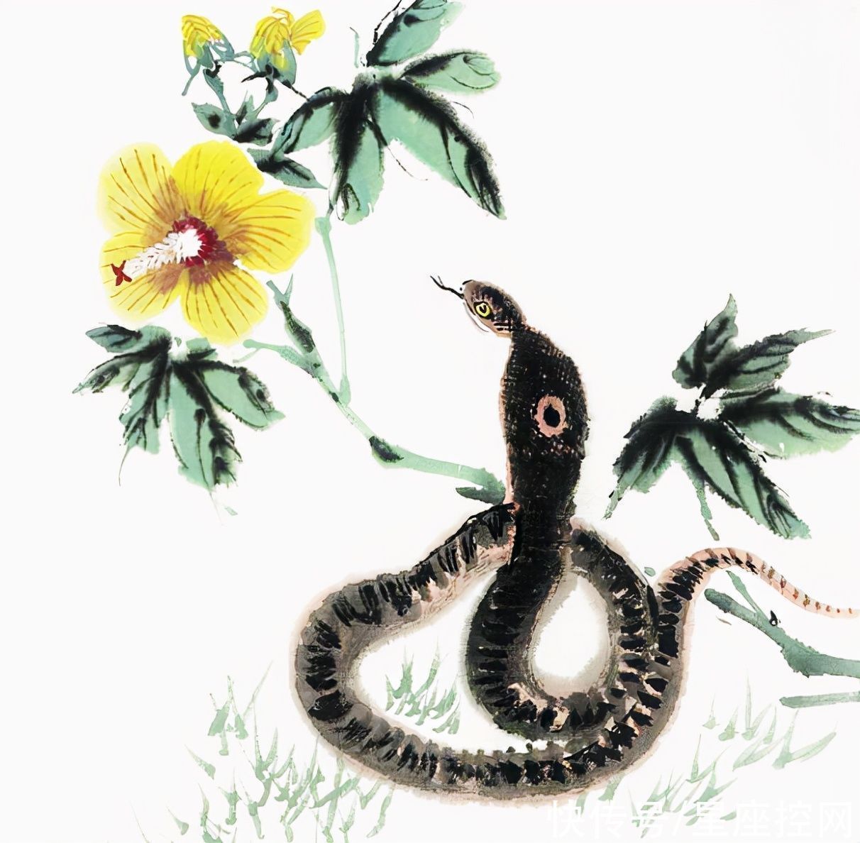 贵人|啥生肖的人,出门在外总有贵人相助,不费心思仍能后来居上