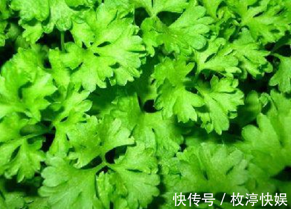 长寿是“省”出来的，这些被你丢掉的“边角料”，都是养生高手！